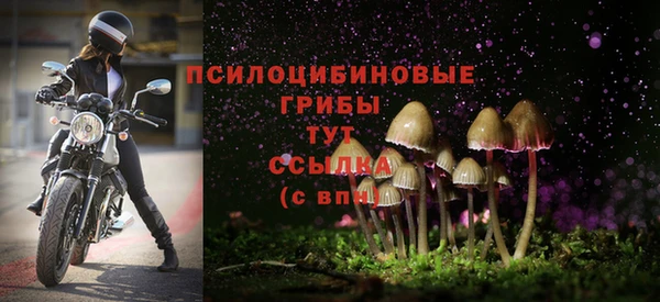 гашик Богородицк