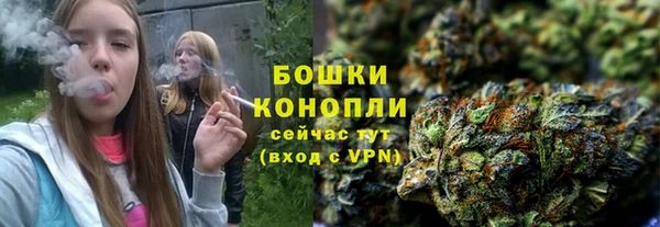 гашик Богородицк