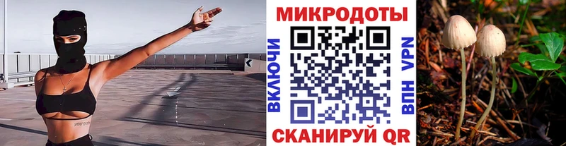 Галлюциногенные грибы мухоморы  купить  сайты  Череповец 