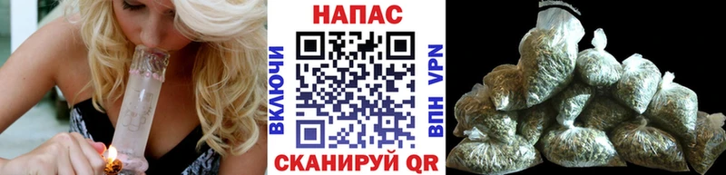 цена наркотик  Череповец  Каннабис сатива 